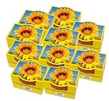 Foto 10er Set Minipflanzset Zwergsonnenblume, bester Preis 19,95 € (2,00 € / stück), Bestseller 2025