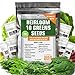 Heirloom Non-GMO Lettuce and Greens Seeds Variety Pack for Outdoor and Indoor Gardening & Hydroponics, 5000+ Seeds - Kale, Butter, Oak, Spinach, Romaine Bibb & More new 2024