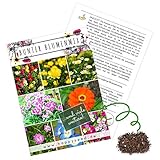 Foto Blumensamen Balkonkasten Mischung - Farbenfrohe Blumen mit langer Blütezeit ideal für Ihren Balkon, Garten & Blumenwiese (Blumen Mix), bester Preis 4,90 €, Bestseller 2024