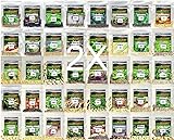 Photo Over 34,000 Seeds!! Set of 40 Individual Vegetable, Herb & Melon Seed Packs Perfect for Planting A Deluxe Home/Survival Garden Indoor/Outdoor. Heirloom-100% Non-GMO! USA Packaged. by B&KM Farms., best price $39.99 ($0.00 / Count), bestseller 2025