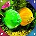 Aquarium Live Wallpapers neu 2024