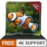 Foto free clown fish aquarium HD - dekorieren Sie Ihr Zimmer mit einem wunderschönen Aquarium auf Ihrem HDR 4K-Fernseher, 8K-Fernseher und Feuergeräten als Hintergrundbild, Dekoration für die Weihnachtsfer, bester Preis 0,00 €, Bestseller 2024