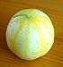PLAT FIRM Germinazione I semi PLATFIRM-30g di limone cetriolo Semi ~ Zesty Insalata di verdure ~ 1000 ~ ct decapaggio nuovo 2024