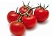 POMODORO CILIEGINO NERO 30 SEMI Pomodorino Dolce Alta Resa Black Cherry Tomato nuovo 2024