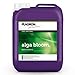 Fertilizzante bio Alga Bloom fioritura 5L – Plagron nuovo 2024