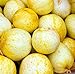 Farmerly 30 Organic Lemon cetriolo Semi Heirloom Non-GMO croccante dolce fragrante gialle nuovo 2024