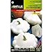 Portal Cool Batlle Vegetable Seeds - Zucca Bianco Patisson Peter Pan (6G) nuovo 2024