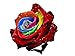KINGDUO Semi Di Rose Arcobaleno 200Pcs Raro Fiore Variopinto In Vaso Pianta Giardino Bonsai-#1 nuovo 2024