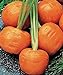SEMI PLAT firm-100pcs / bag parigino semi di carota non OGM Vegetable Seeds cucina Assisted Nutrizione Outdoor Vaso da fiori per il giardino domestico nuovo 2024