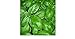 BASILICO GENOVESE 270 SEMI foglia larga PESTO LIGURE Basil pianta erba aromatica nuovo 2024