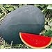SEMI PLAT firm-dolce gigante nero anguria Semi, cocomero senza semi Semi, Giardino Piantare, Cortile Bonsai Frutta - 20 Particelle/Bag nuovo 2024