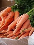 foto Carote giganti, uniche e gustose, circa 50 semi, ad alto contenuto di carotene, un’esplosione di vitamine, miglior prezzo EUR 2,49, bestseller 2024