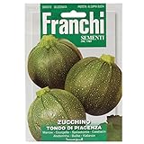 foto Seeds of Italy Ltd-sementi da piante da frutto, zucchine), miglior prezzo EUR 2,61, bestseller 2024