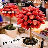foto Portal Cool Cioccolato: Semi di fragola piante d'Albero e rari Home giardino Bonsai di frutta 100Pcs, miglior prezzo , bestseller 2024