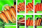foto Portal Cool Nastro di semi di carota Amsterdam Per.: Suttons semi di carota pacchetti di semi, miglior prezzo EUR 9,99, bestseller 2024