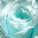 Ncient 20/50 Semi Sementi di Rosa Blu Chiaro Semi di Fiori Rari Pianta Profumati per Orto Giardino Balcone Interni ed Esterni nuovo 2024