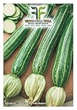 foto 40 C.ca Semi Zucchino San Pasquale - Cucurbita Pepo In Confezione Originale Prodotto in Italia - Zucchine, miglior prezzo EUR 7,40, bestseller 2024