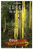 foto Semi - Zucca da Pergola (Lagenaria longissima), miglior prezzo EUR 4,64, bestseller 2024