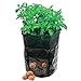 Moonvvin Garden Grow Bag,7 Gallon Heavy Duty Durevole Borsa con Manici Verdura Patate Sacchi per Patate, Carota, Cipolla e Verdure Fiore pianta nuovo 2024