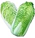 KINGDUO Semi di Cavolo Delizioso Cinese di 100Pcs Nutriente Verde Verdura Semi di Brassica Piante Giardino nuovo 2024