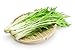 Mizuna, semi di senape giapponesi - Brassica rapa nipposinica nuovo 2024