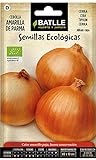 foto Semi Ecologici - Cipolla Gialla di Parma (210 Seeds - Bio), miglior prezzo EUR 3,90, bestseller 2024