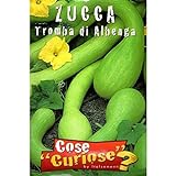 foto Vivai Le Georgiche Zucca Tromba Di Albenga (Semente), miglior prezzo EUR 3,90, bestseller 2024