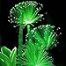 WuWxiuzhzhuo 100pcs rare smeraldo fluorescente semi di fiori, luce notturna che emettono piante da giardino 1 nuovo 2024