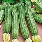 foto Portal Cool Zucchine - Romanesco - 25 Semi, miglior prezzo EUR 9,99, bestseller 2024