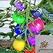 BigFamily 100Pcs Semi di pomodoro arcobaleno Semi di verdure bonsai colorati Home Garden Decor nuovo 2024