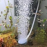 foto Omiky® Pompa dell'aria per acquario di pesci a forma di pietra, per piante in acquario idroponico, decorazione e accessorio per acquario, miglior prezzo EUR 1,83, bestseller 2024