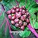 200pc semi viola melanzana. Naturale sementi di ortaggi verdi. il ricco giardino piantato Semplice nuovo 2024
