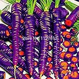 foto 300PCS / bag Drago viola di semi di carota ginseng anti-aging nutriente Bonsai piante Semi per la casa e il giardino, miglior prezzo EUR 10,99, bestseller 2024