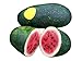 MOON & STARS Heirloom Watermelon Seeds new 2022