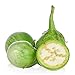 Seedline Thai Round Eggplant Seed (250 seeds) - Herb Heirloom Vegetable new 2022