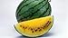 Watermelon Yellow Seeds Rare Janosik Yanosik Vegetable for Planting Giant Non GMO 10 Seeds new 2022