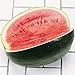 Watermelon Black Diamond Great Heirloom Vegetable By Seed Kingdom BULK 1,000 Seeds new 2022