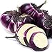 NIKITOVKASeeds - Eggplant - Aubergine Barbarella F1-50 Seeds - Organically Grown - Non GMO new 2022