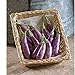 David's Garden Seeds Eggplant Fairy Tale OP3852 (Purple) 25 Non-GMO, Hybrid Seeds new 2022