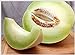 Tam-Dew (Honeydew) Melon - Beautiful, ivory green fruit - Very sweet flesh!!(10 - Seeds) new 2022