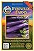Everwilde Farms - 250 Long Purple Eggplant Seeds - Gold Vault Jumbo Seed Packet new 2022