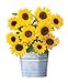 Burpee Sunny Bunch Sunflower Seeds 25 seeds new 2022