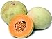 20+ ORGANICALLY GROWN Orange Flesh Honeydew Melon Seeds, Heirloom NON-GMO, Super Sweet and Fragrant, Extra Productive, From USA new 2022