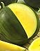 Watermelon Yanusyk - 30 Seeds - Organically Grown - NON-GMO new 2022