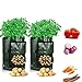 Cefrank Potato Grow Bags with Flap, 10 Gallon, 13''×19'', 2 Pack, Durable Fabric Garden Planter Pots new 2022