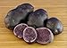 Potato Seed - Blue - Great Color Addition to All Your Food Dishes - 6 Tubers new 2022