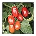 David's Garden Seeds Tomato Grape Valentine QA0934 (Red) 25 Non-GMO, Organic, Hybrid Seeds new 2022