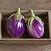 David's Garden Seeds Eggplant Rosa Bianca AZ2605 (Purple) 50 Non-GMO, Organic Heirloom Seeds new 2022
