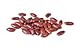 Bush Bean Red Kidney Bean Seeds new 2023