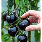 Photo Black tomatoes. kumato tomato - 25 Seeds - Slicing tomato - SPANISH Heirloom, best price $4.99 ($0.20 / Count), bestseller 2024
